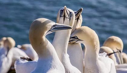 开云体育链接-体育科技助推青少年足球训练航，虚拟仿真成行业新宠，青少年足球体验课活动流程