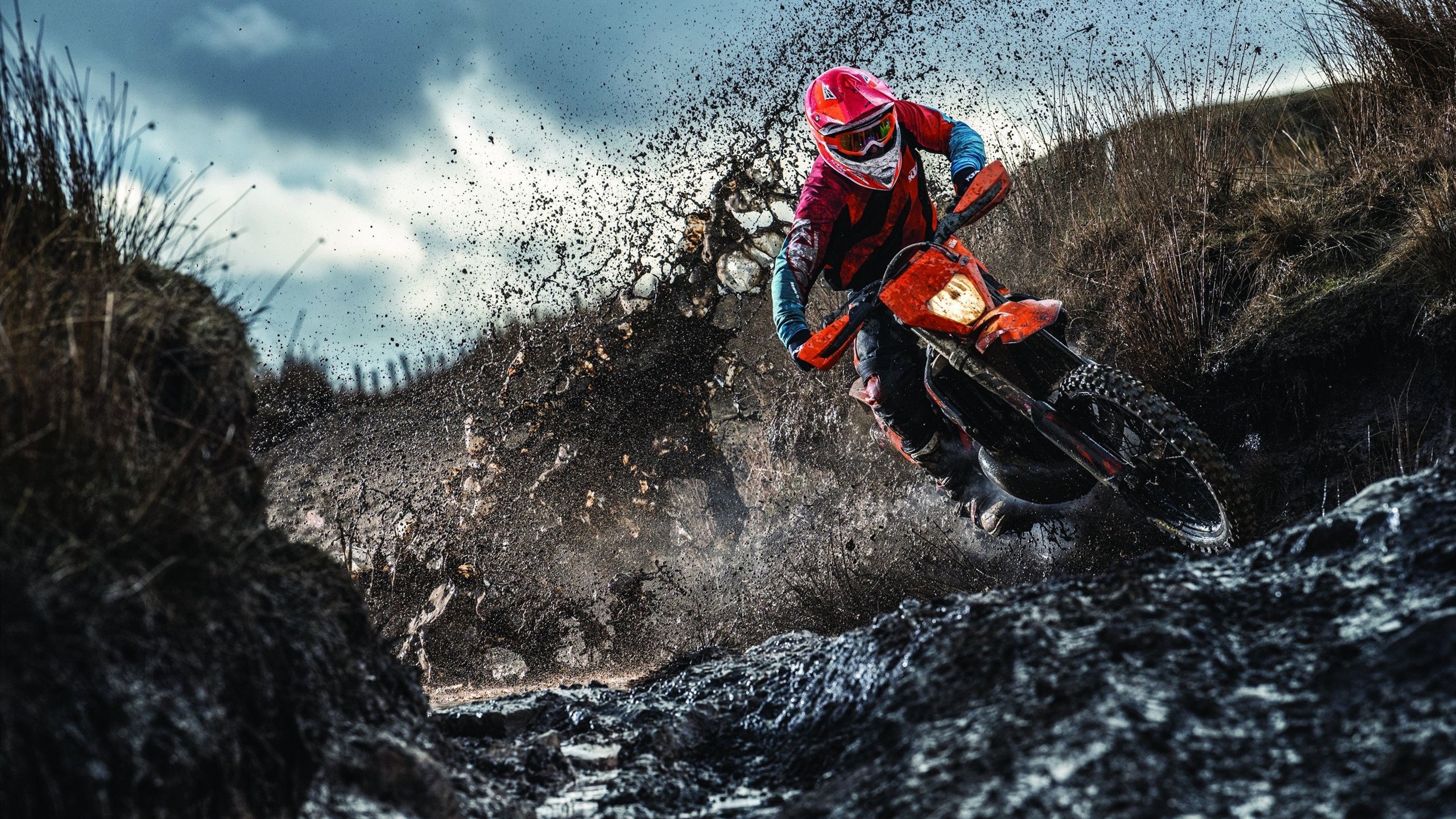 未来联盟:“绿色赛场”设计将成为标准配置,未来联盟十大控卫